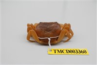 藏品(拉氏清溪蟹)的圖片